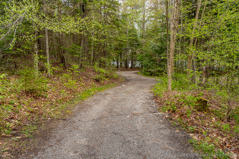 Campsite Photo of Site 42 at Lake Durant Campground, New York - Looking at Site from Part Way In
