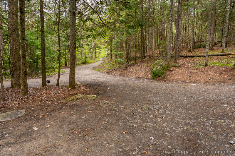 Campsite Photo of Site 42 at Lake Durant Campground, New York - Looking Back Towards Road