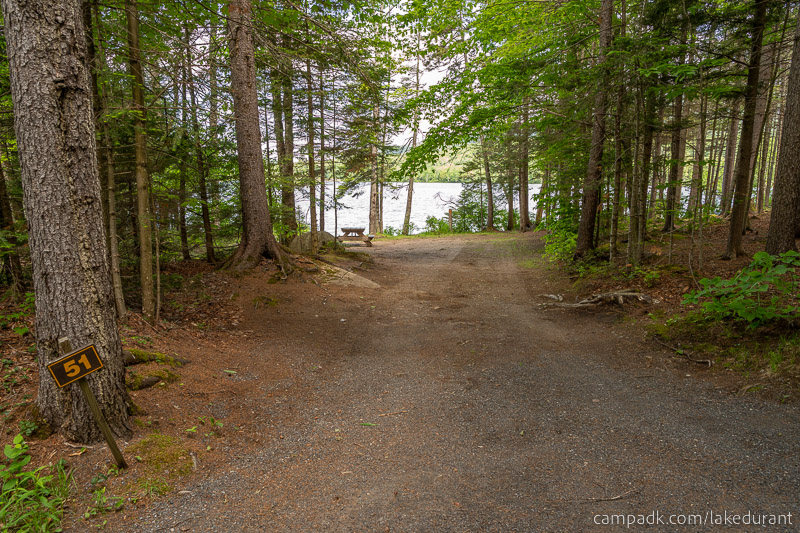 Campsite Photo of Site 51 at Lake Durant Campground, New York - Looking at Site from Road Sign Visible