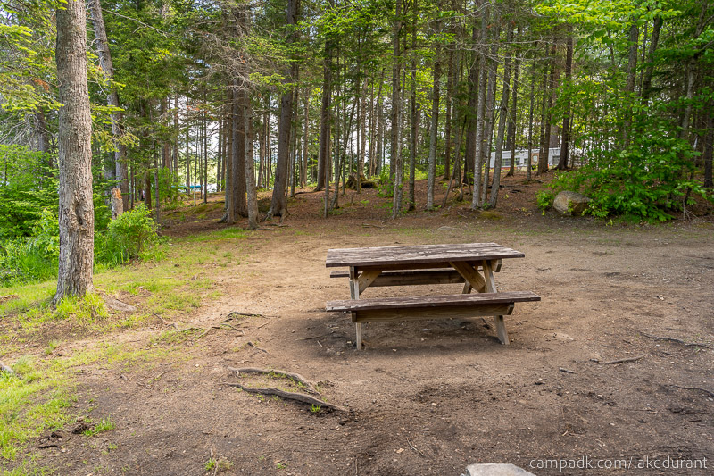 Campsite Photo of Site 51 at Lake Durant Campground, New York - Cross Site View