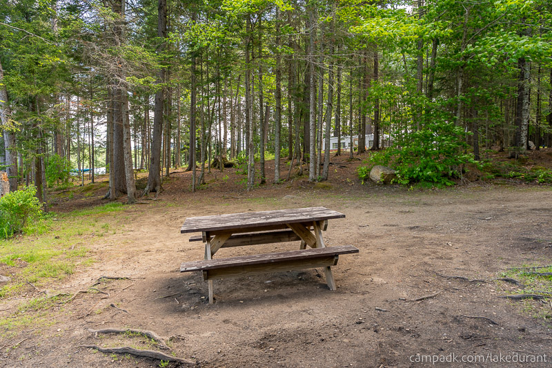 Campsite Photo of Site 51 at Lake Durant Campground, New York - Cross Site View