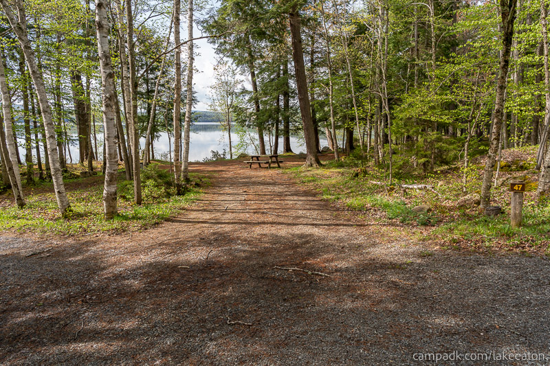 Campsite Photo of Site 47 at Lake Eaton Campground, New York - Looking at Site from Road Sign Visible