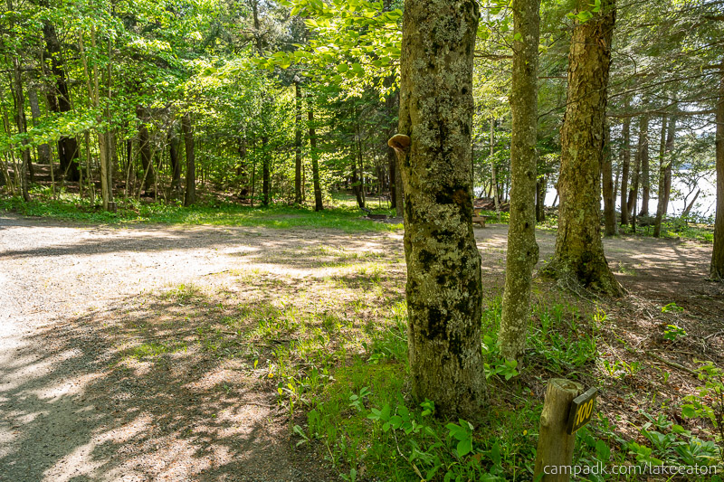 Campsite Photo of Site 100 at Lake Eaton Campground, New York - Looking at Site from Road Sign Visible