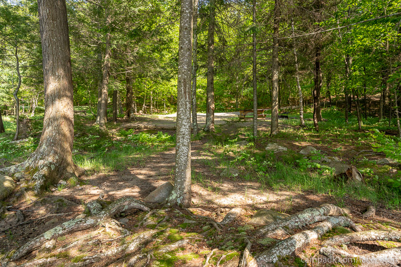 Campsite Photo of Site 100 at Lake Eaton Campground, New York - Returning Along Pathway from Water