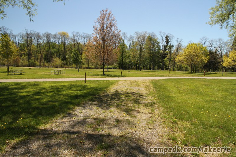 Campsite Photo of Site 53 at Lake Erie State Park, New York - Looking Back Towards Road
