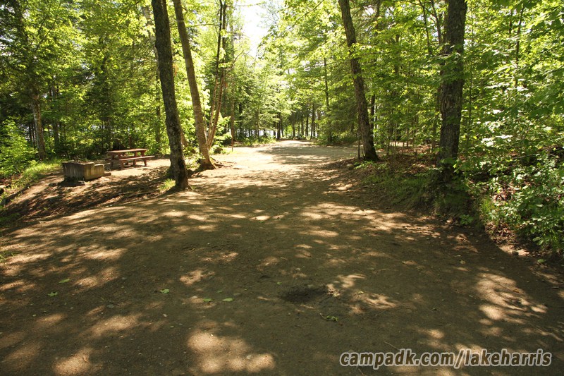 Campsite Photo of Site 39 at Lake Harris Campground, New York - Looking Back Towards Road