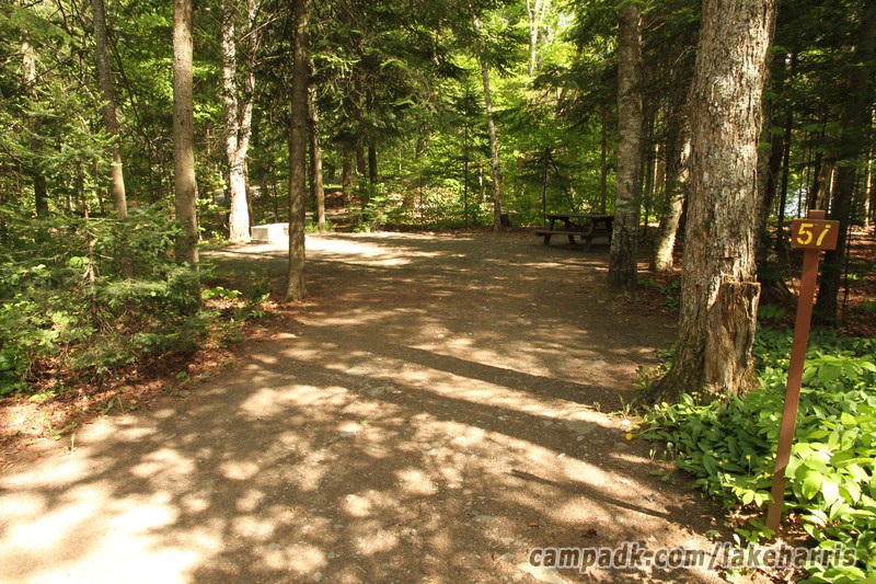 Campsite Photo of Site 51 at Lake Harris Campground, New York - Looking at Site from Road Sign Visible