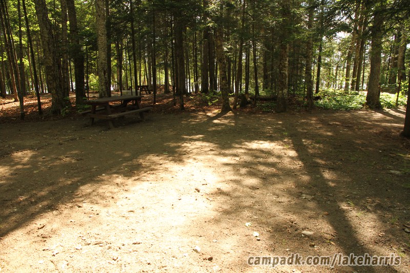 Campsite Photo of Site 51 at Lake Harris Campground, New York - Cross Site View