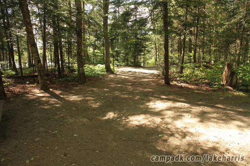 Campsite Photo of Site 51 at Lake Harris Campground, New York - Looking Back Towards Road