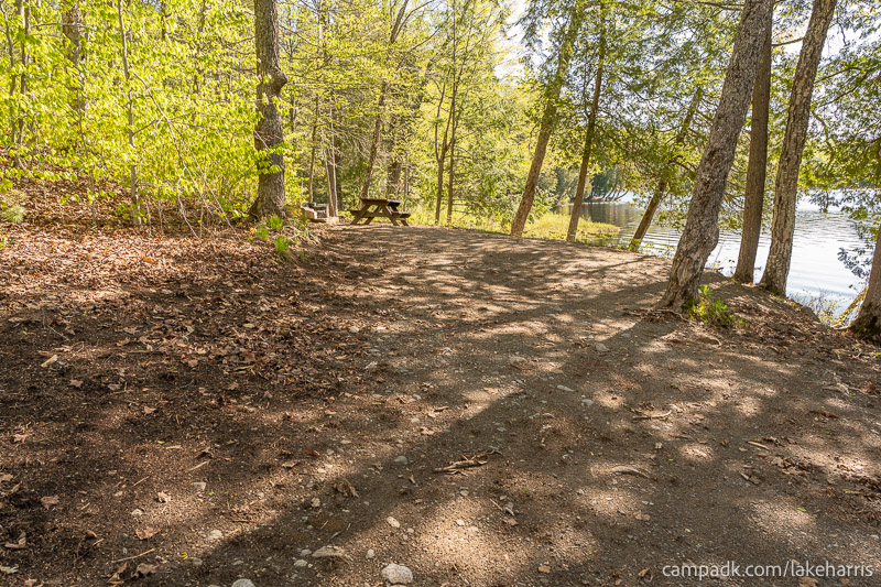 Campsite Photo of Site 39 at Lake Harris Campground, New York - Looking at Site from Part Way In