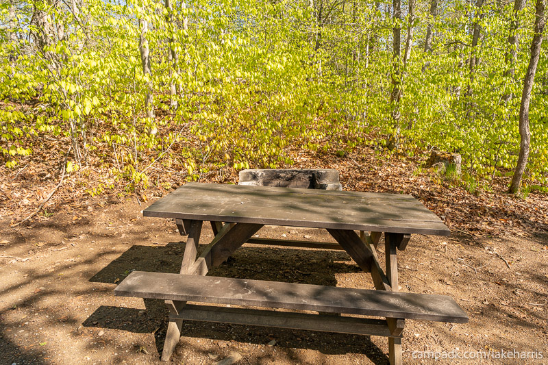 Campsite Photo of Site 39 at Lake Harris Campground, New York - Fireplace View