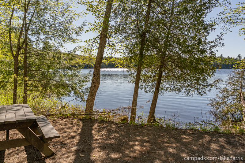Campsite Photo of Site 39 at Lake Harris Campground, New York - View from Shoreline