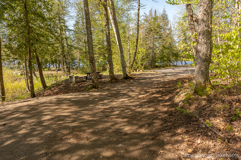 Campsite Photo of Site 39 at Lake Harris Campground, New York - Looking Back Towards Road