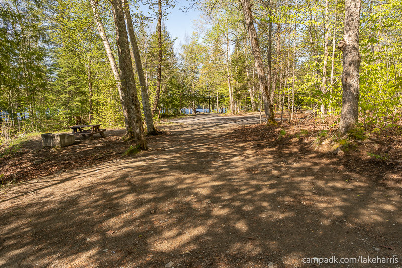 Campsite Photo of Site 39 at Lake Harris Campground, New York - Looking Back Towards Road