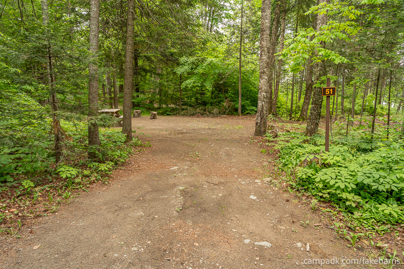 Campsite Photo of Site 51 at Lake Harris Campground, New York - Looking at Site from Road Sign Visible