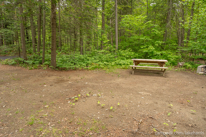 Campsite Photo of Site 51 at Lake Harris Campground, New York - Cross Site View