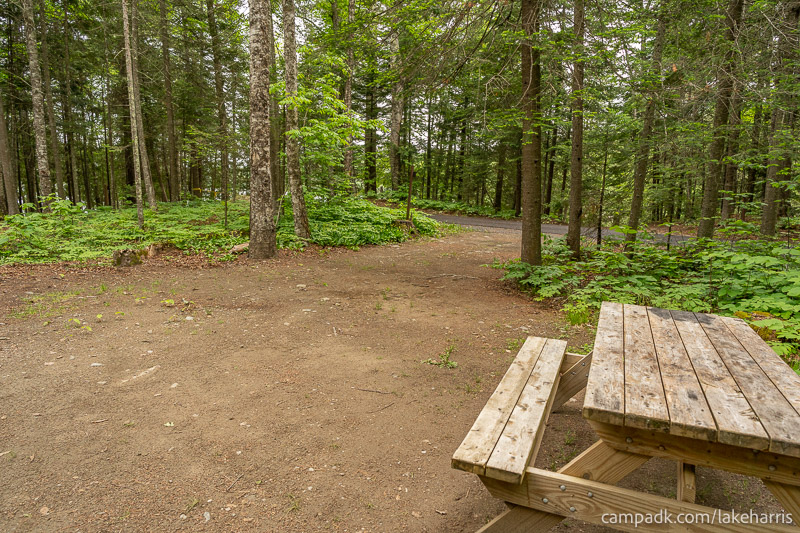 Campsite Photo of Site 51 at Lake Harris Campground, New York - Looking Back Towards Road