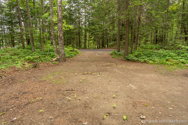 Campsite Photo of Site 51 at Lake Harris Campground, New York - Looking Back Towards Road