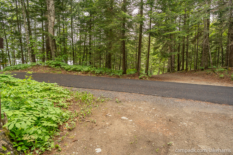 Campsite Photo of Site 51 at Lake Harris Campground, New York - Looking Back Towards Road