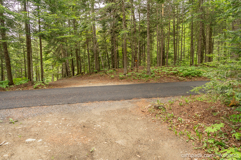 Campsite Photo of Site 51 at Lake Harris Campground, New York - Looking Back Towards Road
