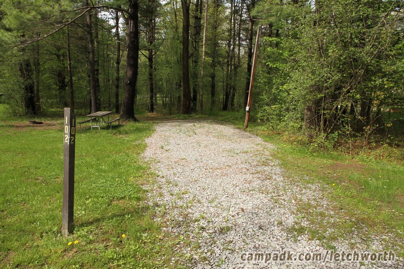 Campsite Photo of Site 102 at Letchworth State Park, New York - Looking at Site From Road Sign Visible