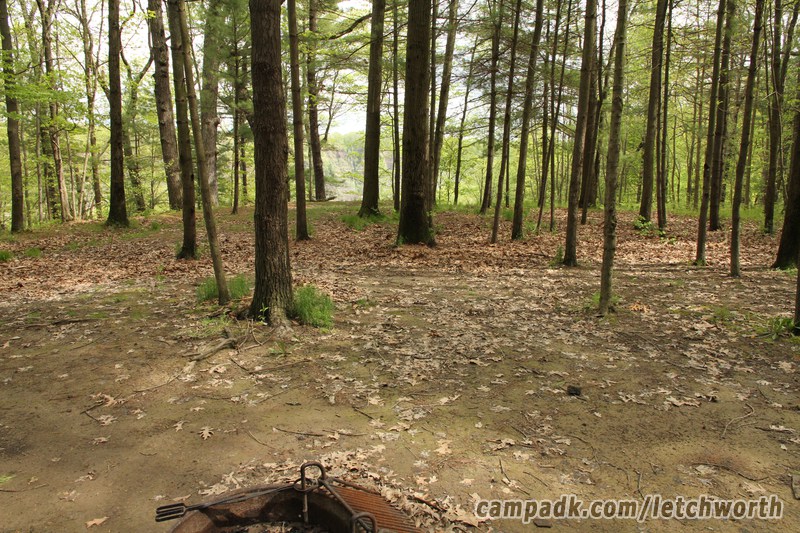 Campsite Photo of Site 117 at Letchworth State Park, New York - Looking at Site From Part Way In