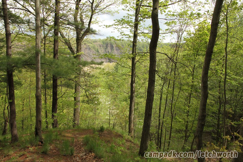 Campsite Photo of Site 117 at Letchworth State Park, New York - Looking at Site From Part Way In