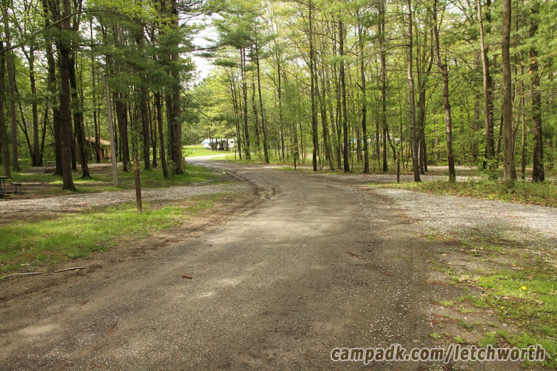 Campsite Photo of Site 117 at Letchworth State Park, New York - View Down Road From Campsite
