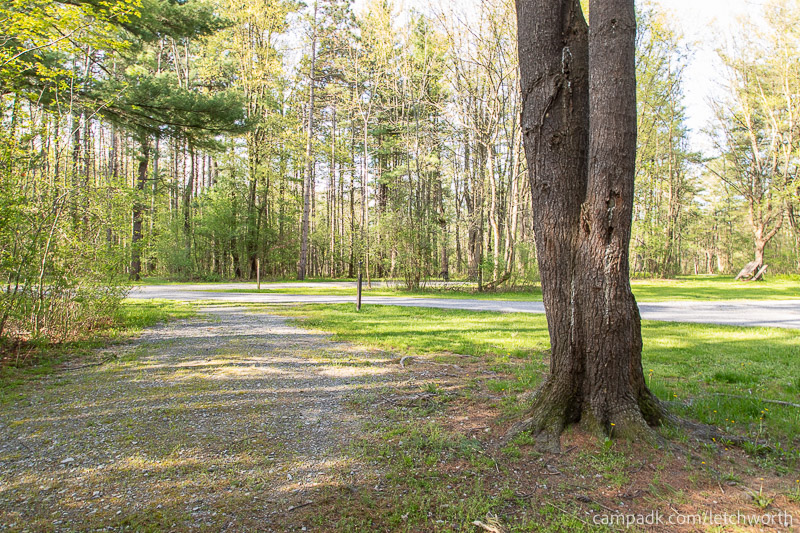 Campsite Photo of Site 102 at Letchworth State Park, New York - Looking Back Towards Road