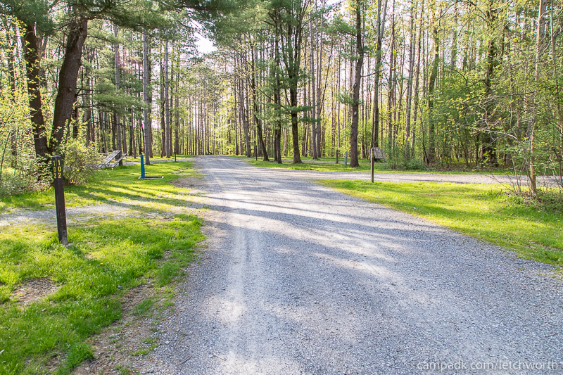 Campsite Photo of Site 102 at Letchworth State Park, New York - View Down Road from Campsite