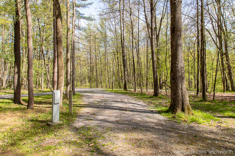 Campsite Photo of Site 117 at Letchworth State Park, New York - Looking Back Towards Road