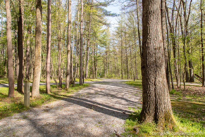 Campsite Photo of Site 117 at Letchworth State Park, New York - Looking Back Towards Road