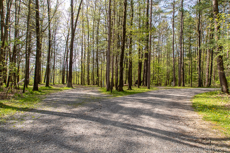 Campsite Photo of Site 117 at Letchworth State Park, New York - View Down Road from Campsite