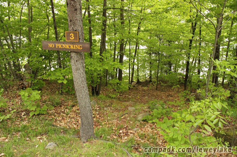 Campsite Photo of Site 3 at Lewey Lake Campground, New York - Looking at Site from Road Sign Visible