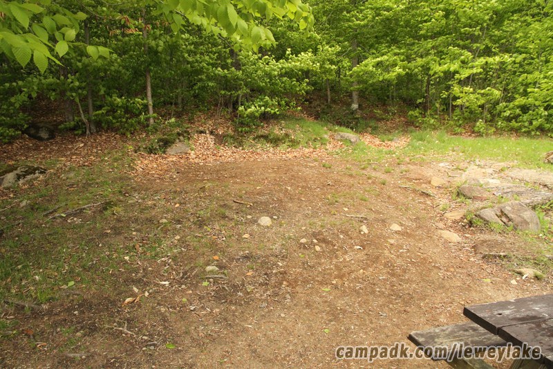 Campsite Photo of Site 3 at Lewey Lake Campground, New York - Cross Site View