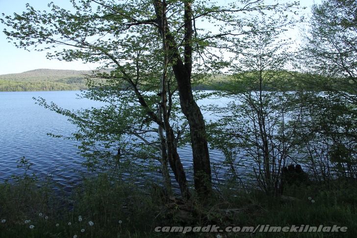 Campsite Photo of Site 10 at Limekiln Lake Campground, New York - View from Shoreline