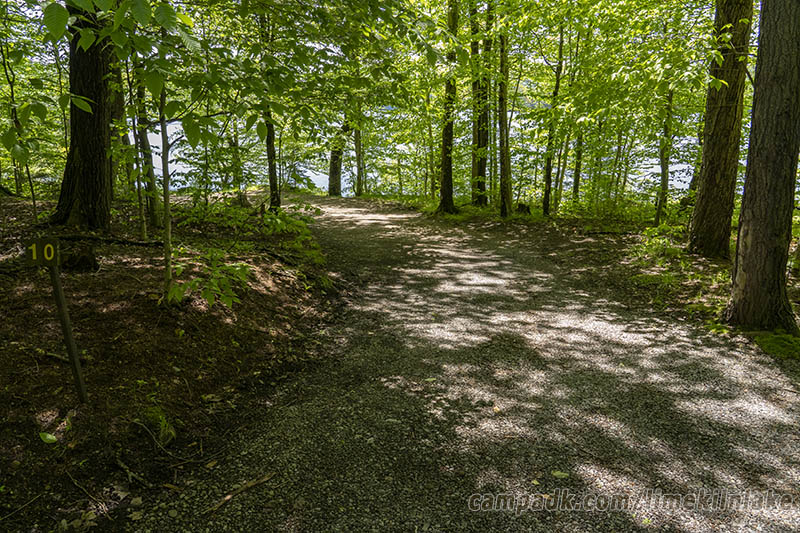 Campsite Photo of Site 10 at Limekiln Lake Campground, New York - Looking at Site from Road Sign Visible