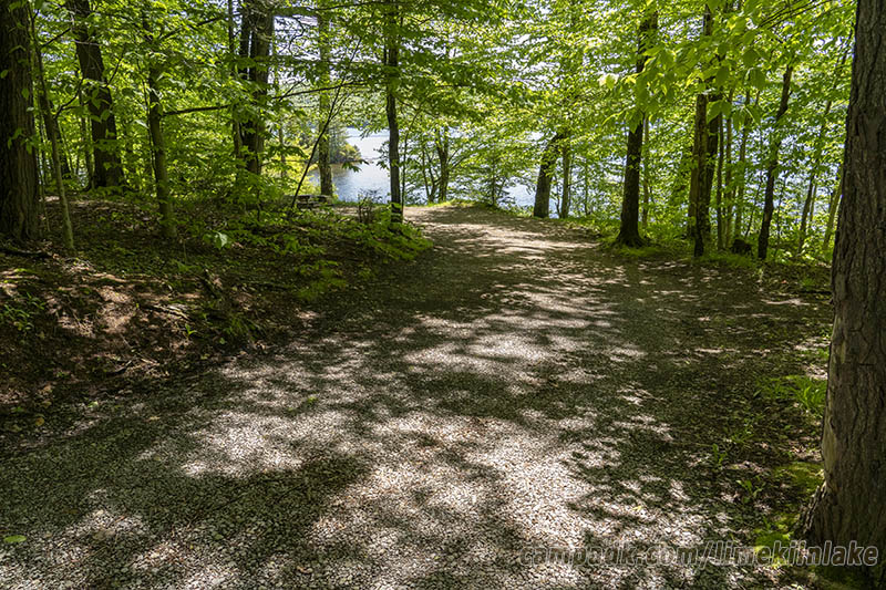 Campsite Photo of Site 10 at Limekiln Lake Campground, New York - Looking at Site from Road