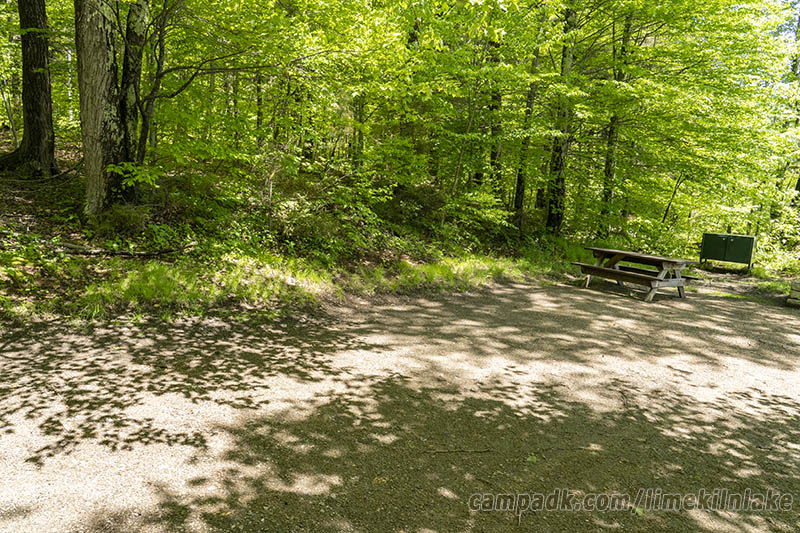 Campsite Photo of Site 10 at Limekiln Lake Campground, New York - Cross Site View