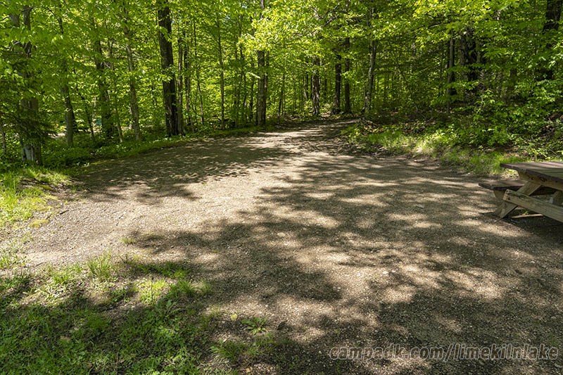 Campsite Photo of Site 10 at Limekiln Lake Campground, New York - Looking Back Towards Road