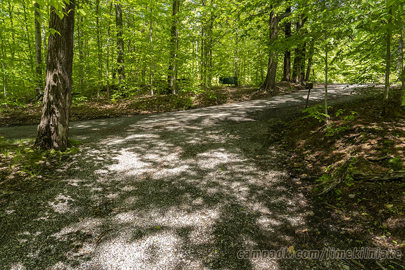 Campsite Photo of Site 10 at Limekiln Lake Campground, New York - Looking Back Towards Road