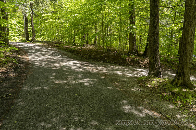 Campsite Photo of Site 10 at Limekiln Lake Campground, New York - View Down Road from Campsite