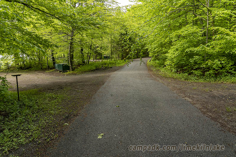 Campsite Photo of Site 162 at Limekiln Lake Campground, New York - View Down Road from Campsite