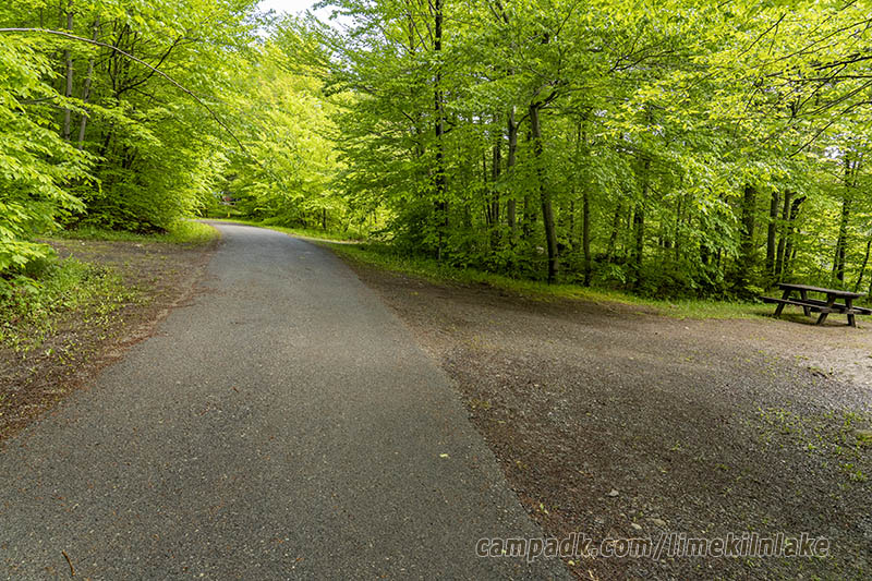 Campsite Photo of Site 162 at Limekiln Lake Campground, New York - View Down Road from Campsite