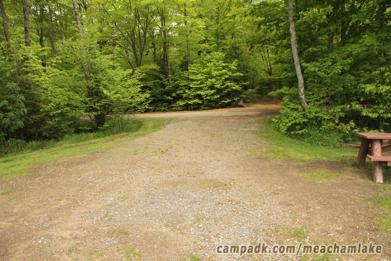 Campsite Photo of Site 166 at Meacham Lake Campground, New York - Looking Back Towards Road