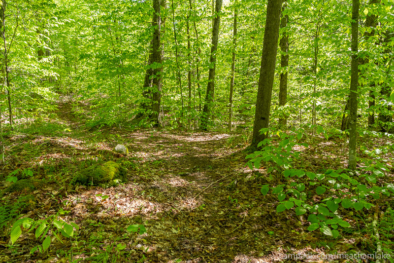 Campsite Photo of Site 192 at Meacham Lake Campground, New York - Looking at Site from Part Way In