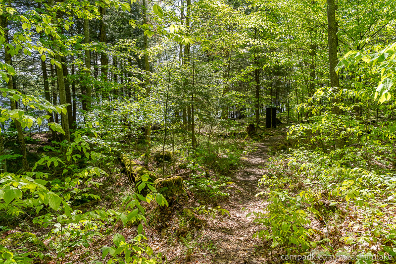 Campsite Photo of Site 192 at Meacham Lake Campground, New York - Looking at Site from Part Way In