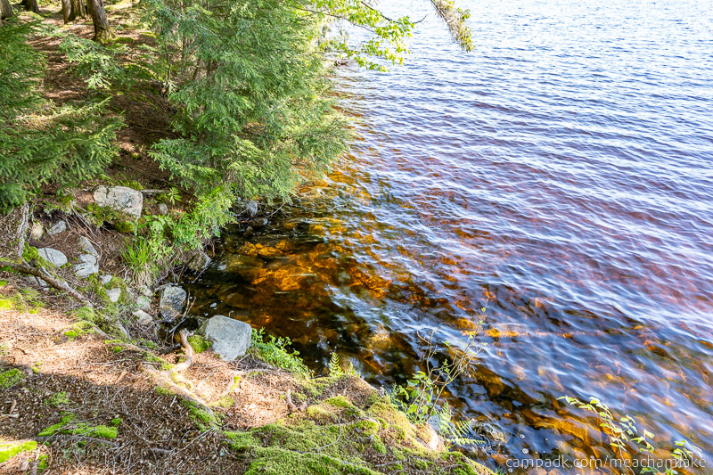 Campsite Photo of Site 192 at Meacham Lake Campground, New York - Shoreline