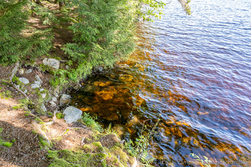 Campsite Photo of Site 192 at Meacham Lake Campground, New York - Shoreline