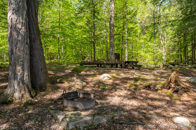 Campsite Photo of Site 192 at Meacham Lake Campground, New York - Returning Along Pathway from Water